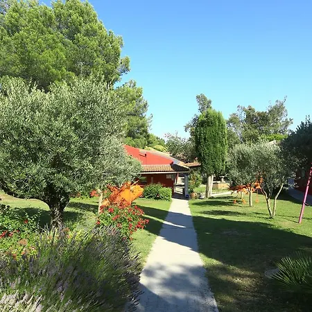 Отель Kyriad Mas Des Oliviers